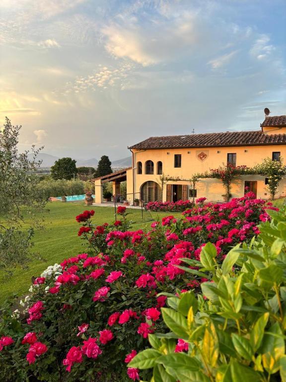 Podere Agli Arrighi 锡尼亚 外观 照片